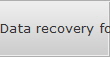 Data recovery for Havre data